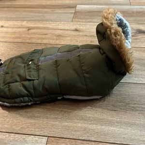 Puppy 🐶 Olive Green Winter coat